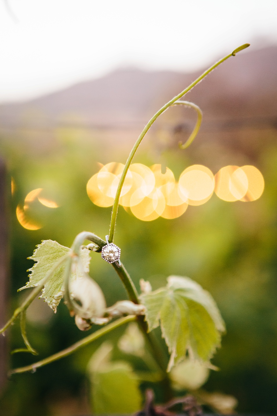Andrea & Patrick-Jodee Debes Photography-097