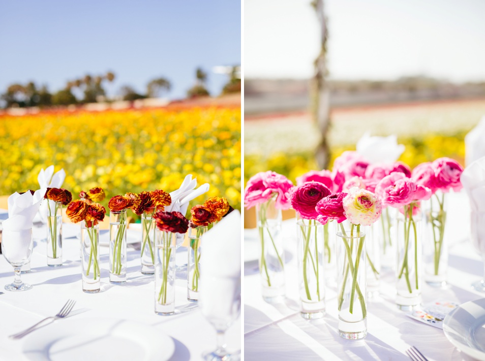 Field to Vase-Jodee Debes Photography-04