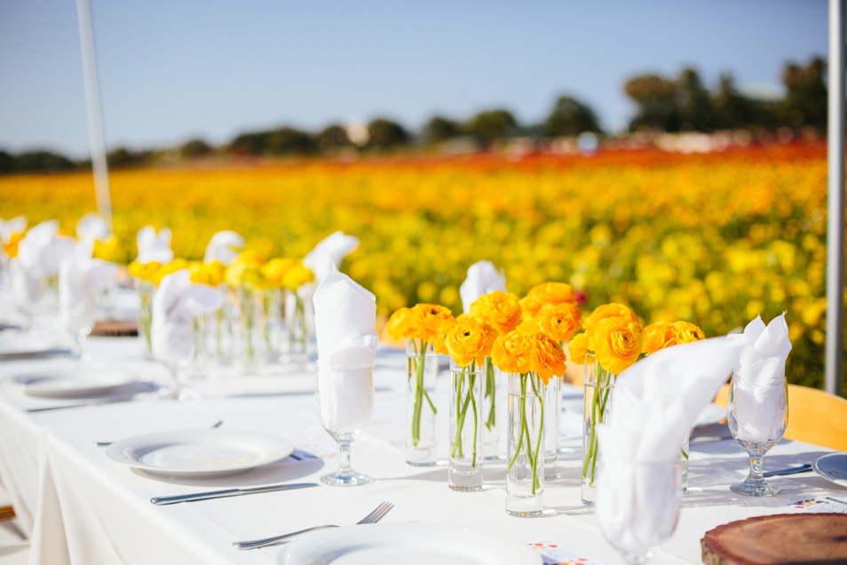 Field to Vase-Jodee Debes Photography-05