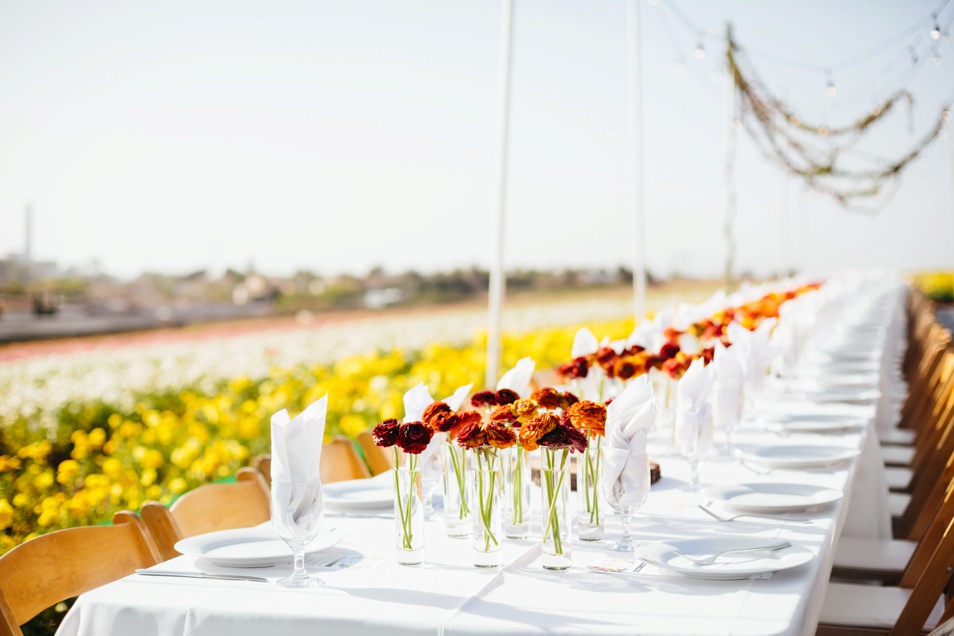 Field to Vase-Jodee Debes Photography-07