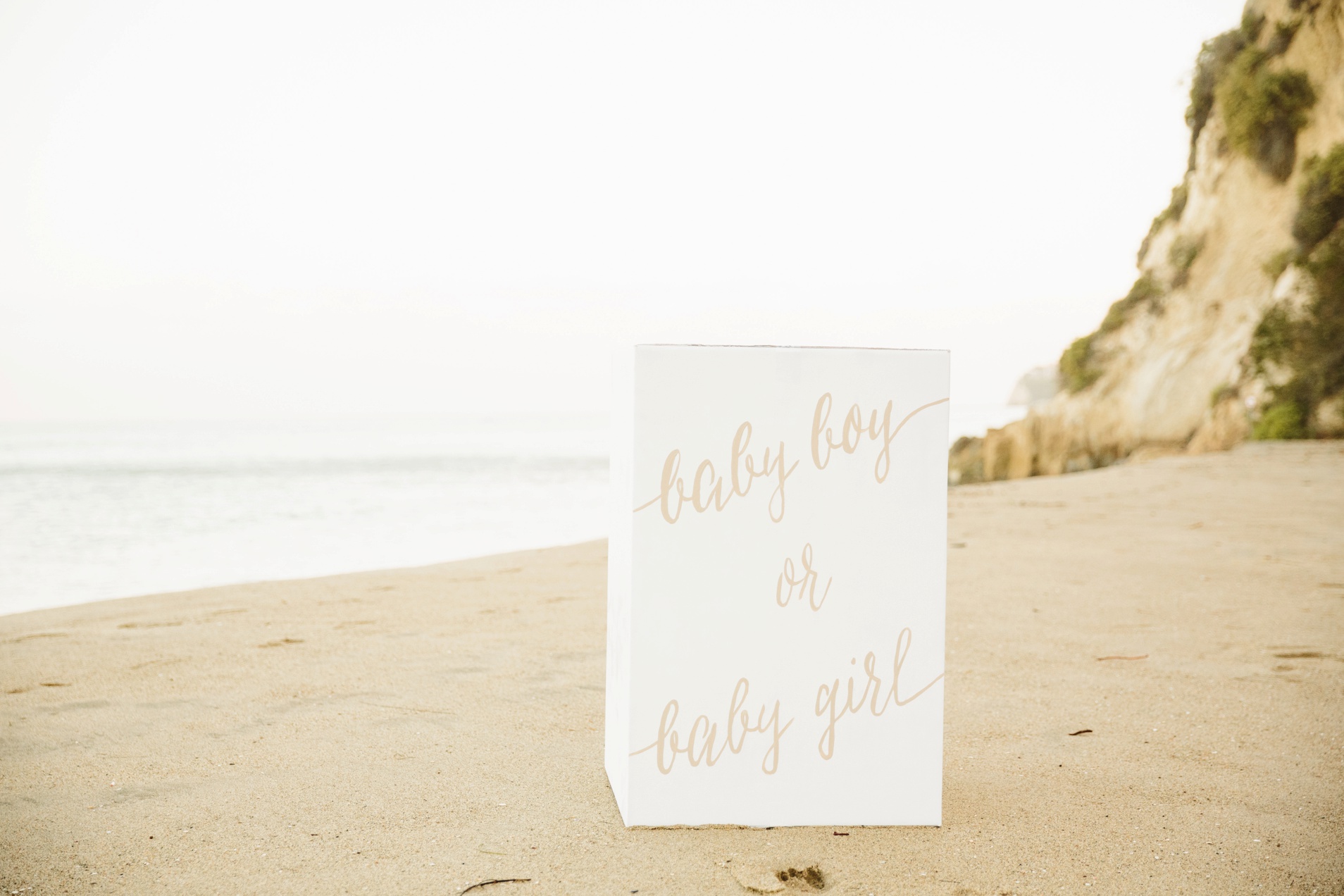 Leslie & Adam Gender Reveal-Jodee Debes Photography-19