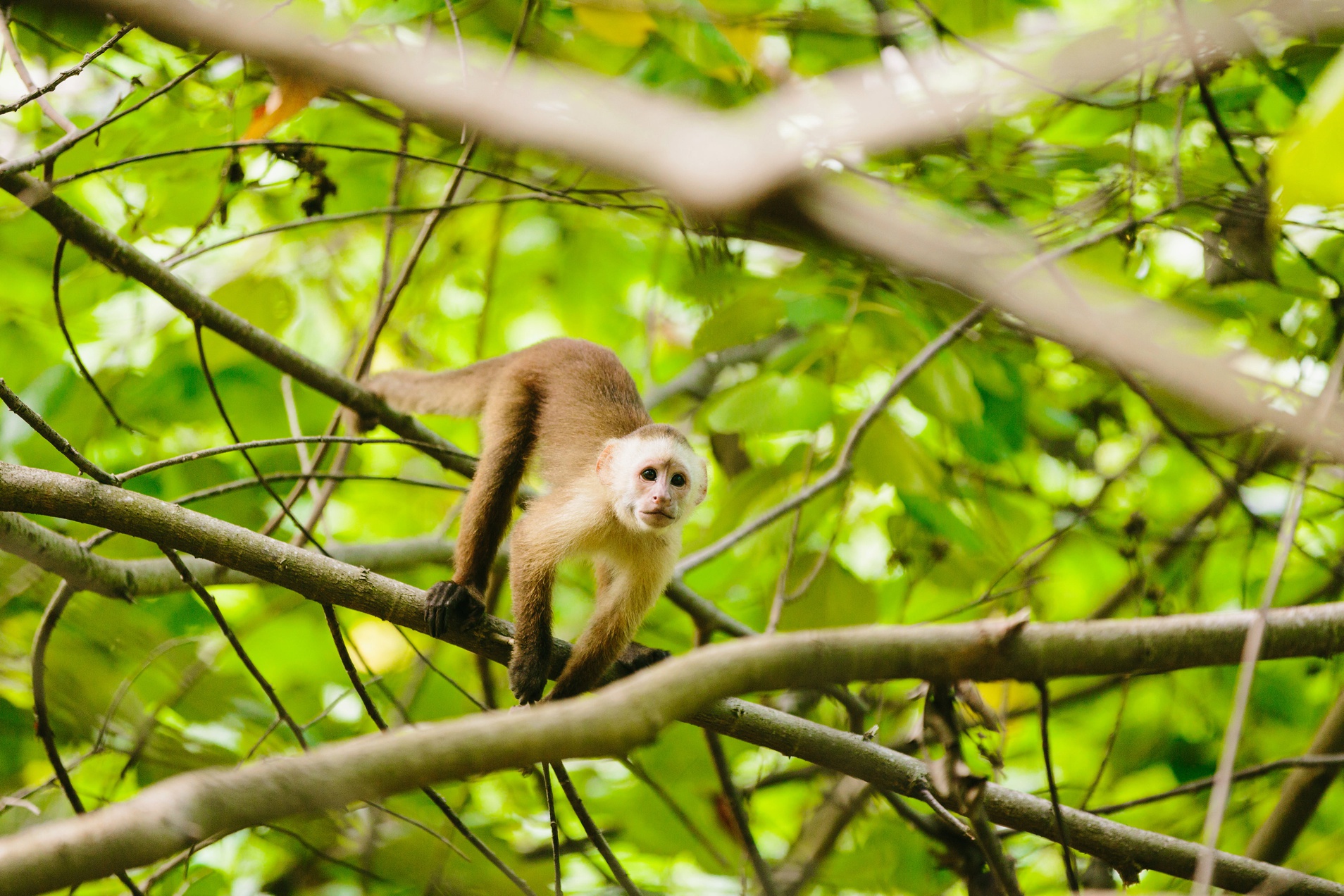 COLOMBIA-Jodee Debes Photography-41