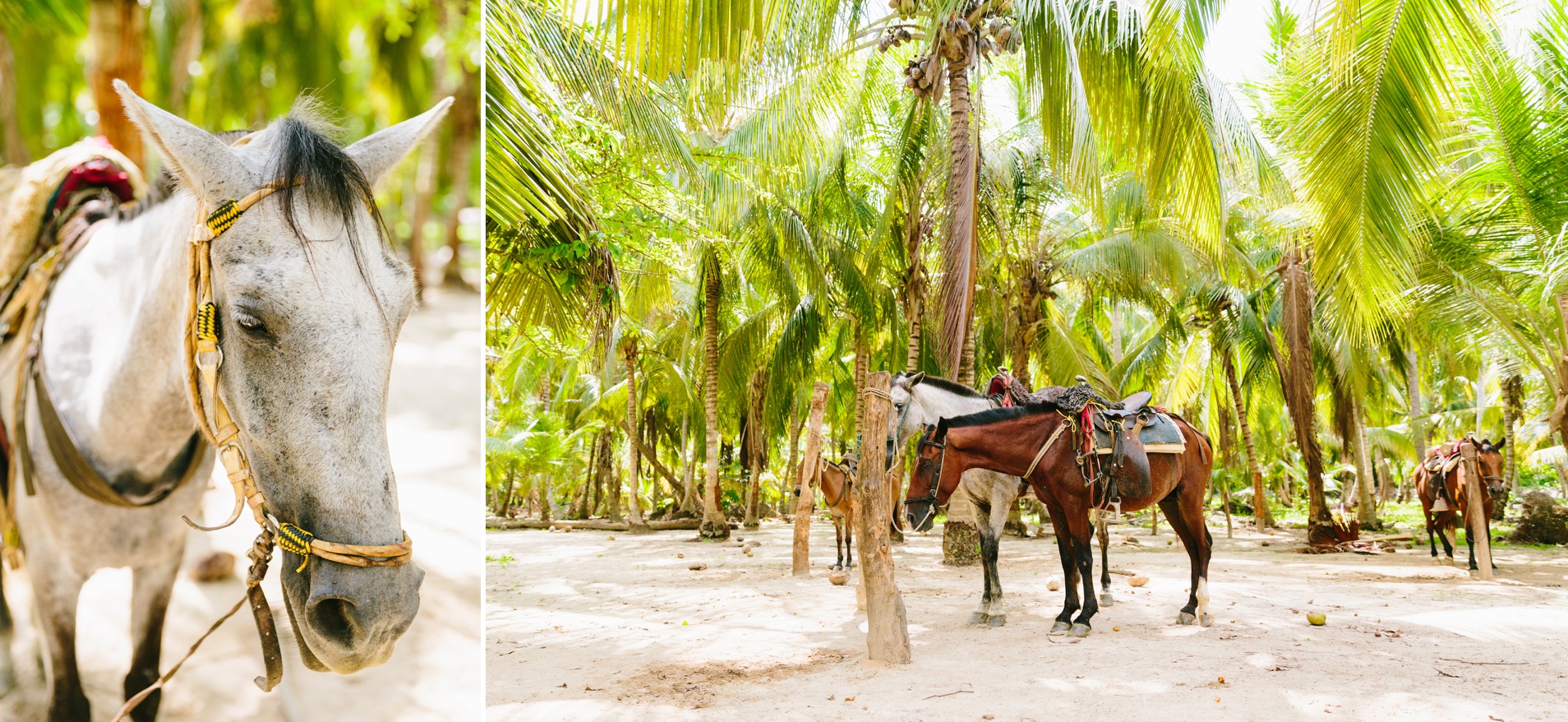 COLOMBIA-Jodee Debes Photography-44