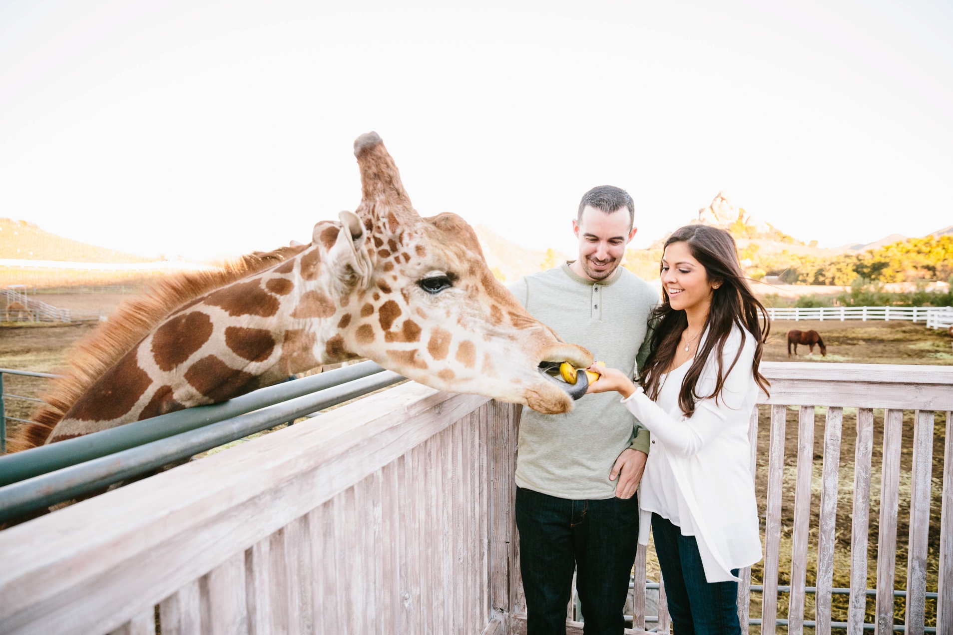 Stephanie&Drew-Jodee Debes Photography-24