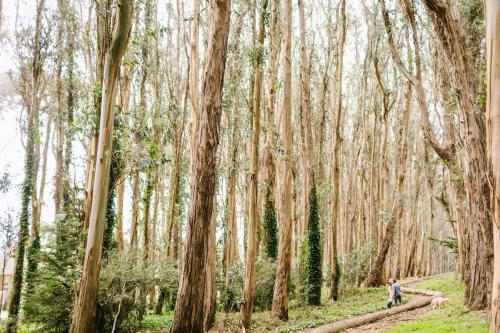 Courtney&Spencer-JodeeDebesPhotography-225